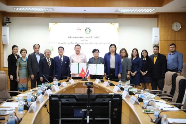 Trung tâm Việt Nam học và Hội hữu nghị Thái Lan - Việt Nam hợp tác đào tạo tiếng Việt