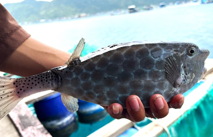 Nha Trang - Ảnh 3.