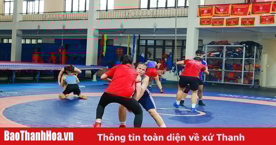 Tiếp tục quan tâm đầu tư, khẳng định vị thế của môn vật