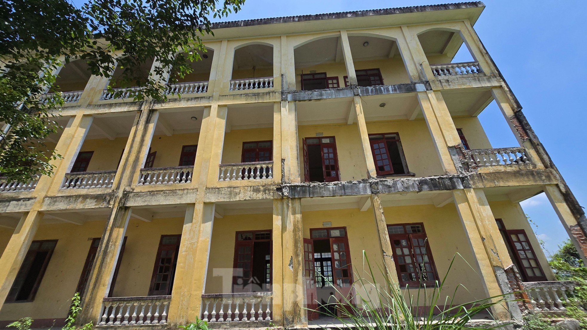 Thanh Hóa: Sau giải thể, trường học trên đất vàng bỏ hoang, đổ nát ảnh 5