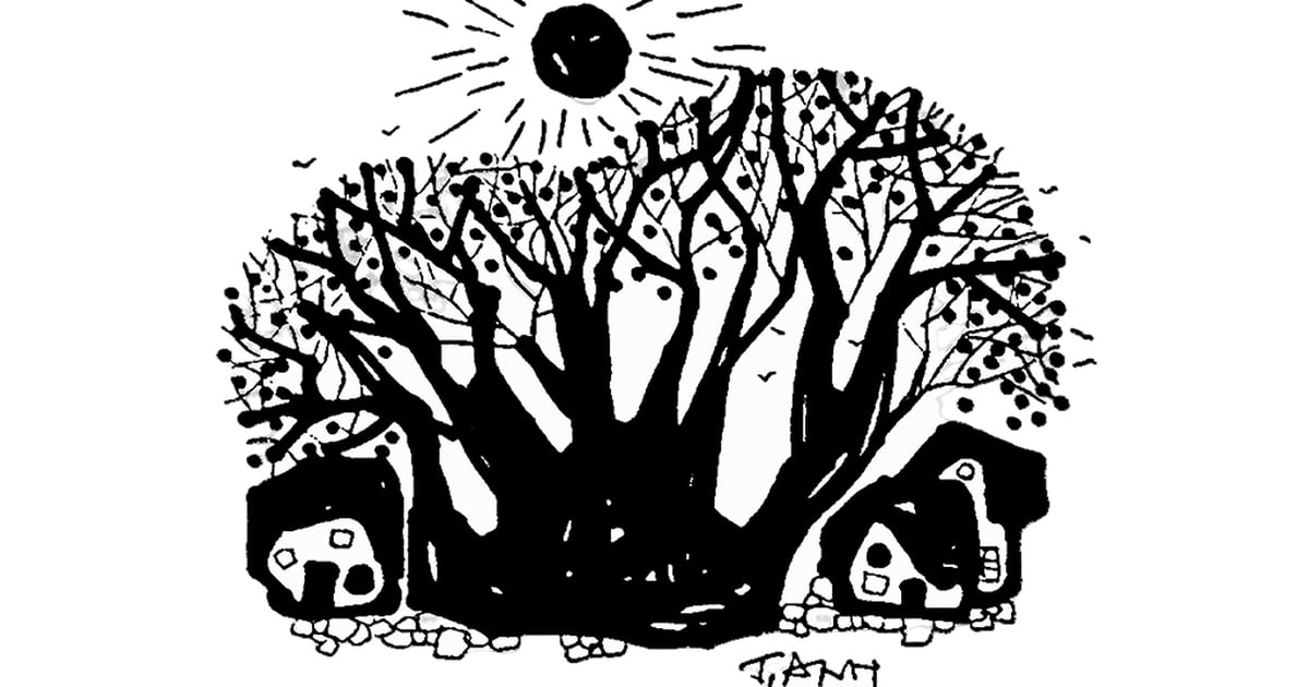 Summer Memories - Poetry by Lo Duy Buu