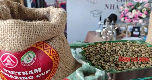 Coffee price today 4-5: Where is the best Vietnamese Arabica?