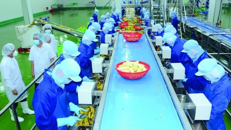 การขยายการค้าการเกษตรในตลาดเอเชียตะวันออกเฉียงเหนือ