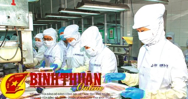 Thủy hải sản vẫn là nhóm hàng xuất khẩu chủ lực của Bình Thuận