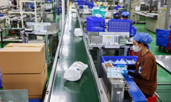 Sản xuất phục hồi - Báo Quảng Ninh điện tử