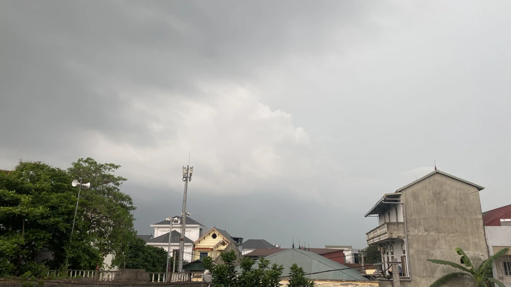 IMG_8673.jpeg