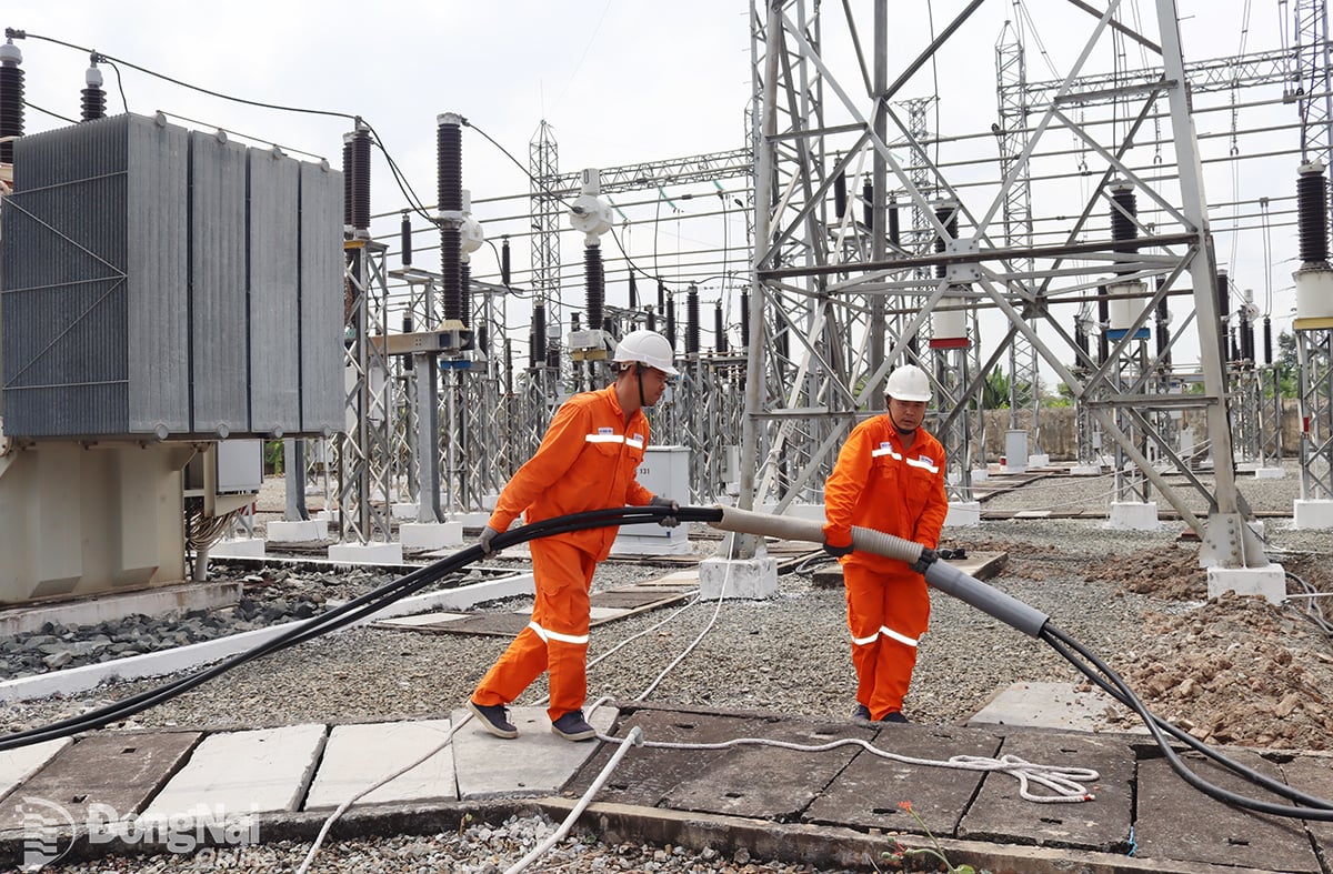 Điện lực Đồng Nai thực hiện cải tạo, nâng cấp đường dây trước cao điểm mùa khô 2025.