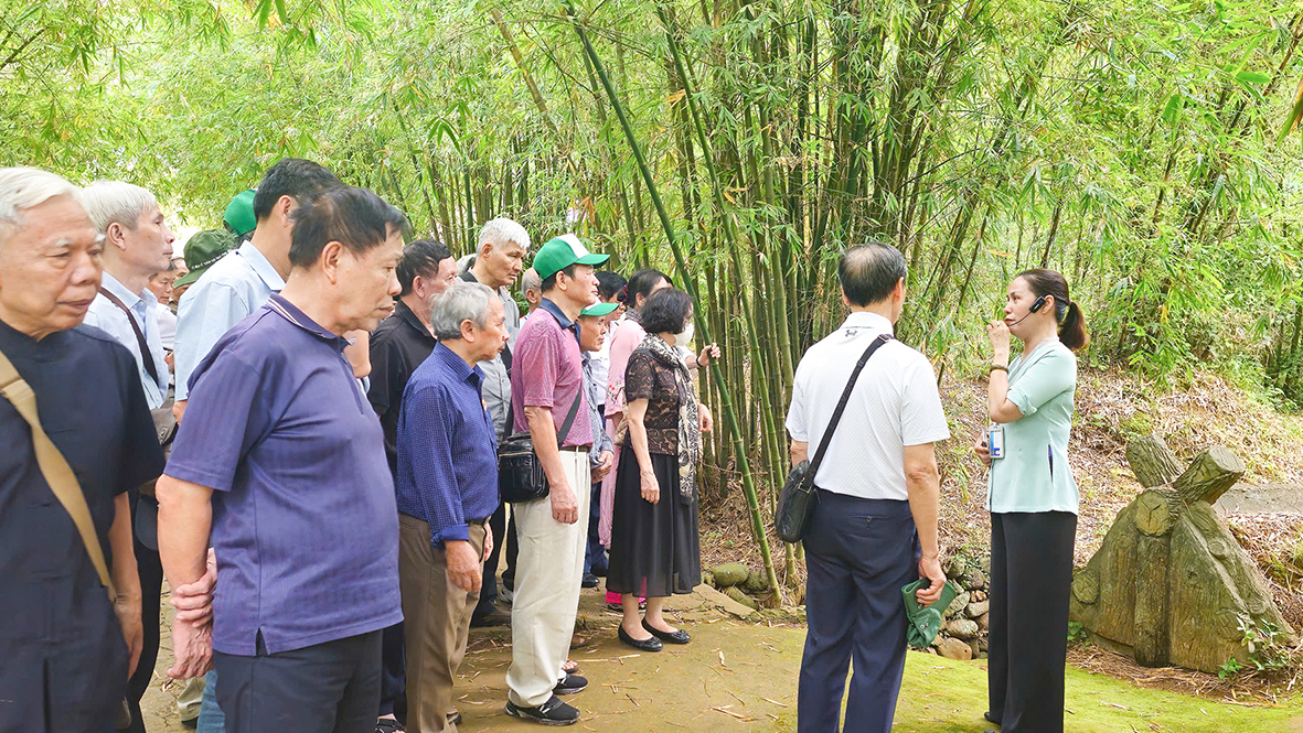 “Red addresses” attract tourists to “return to their roots” during the holidays