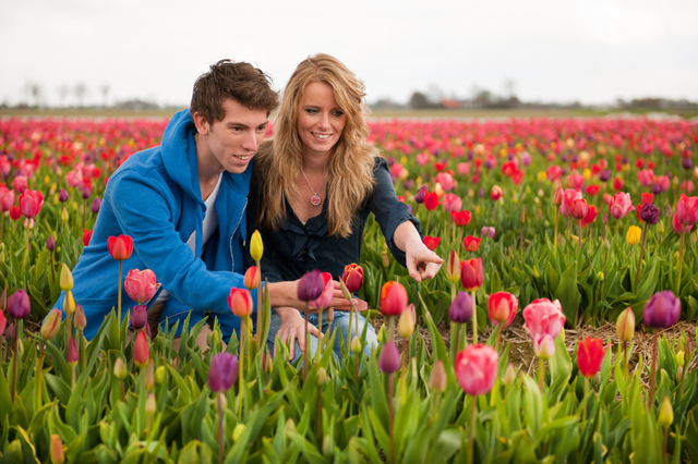 Tulip season in the Netherlands - a romantic stop not to be missed - Photo 4.