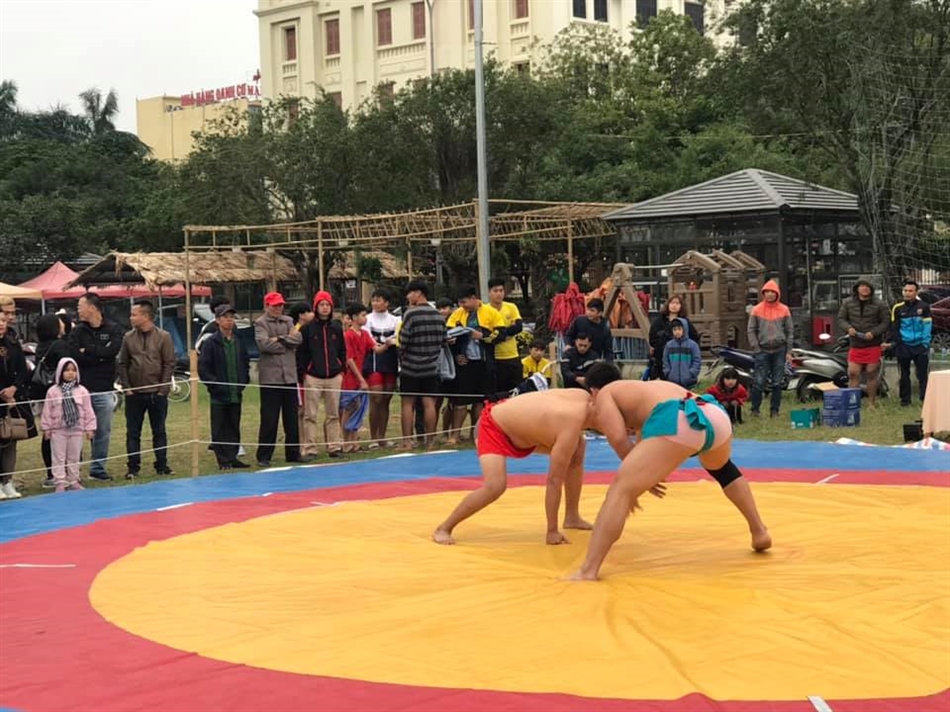 Phong trào TDTT quần chúng ngày một khởi sắc tại Ninh Bình - Ảnh 2.