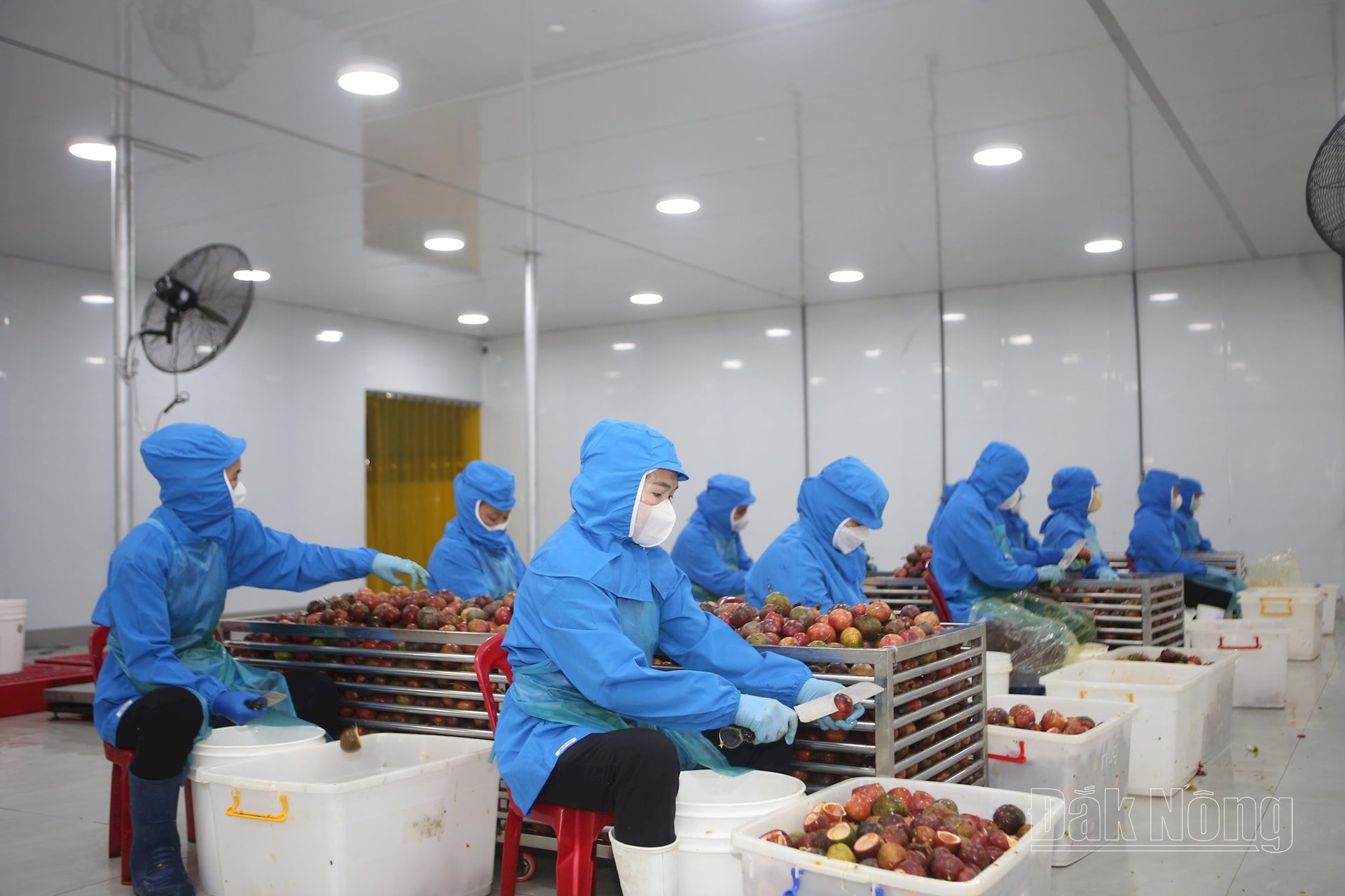 Long Hue Investment Joint Stock Company, Tuy Duc district, continuously invests in innovation and comprehensive restructuring.