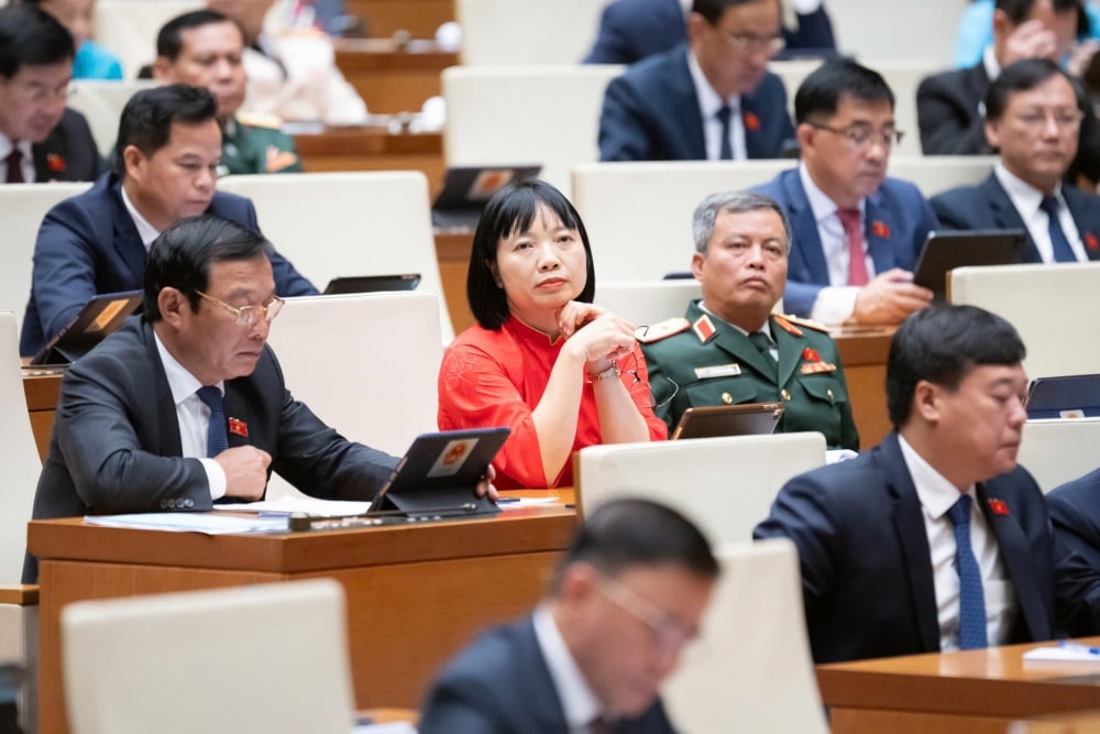 Quang cảnh Kỳ họp