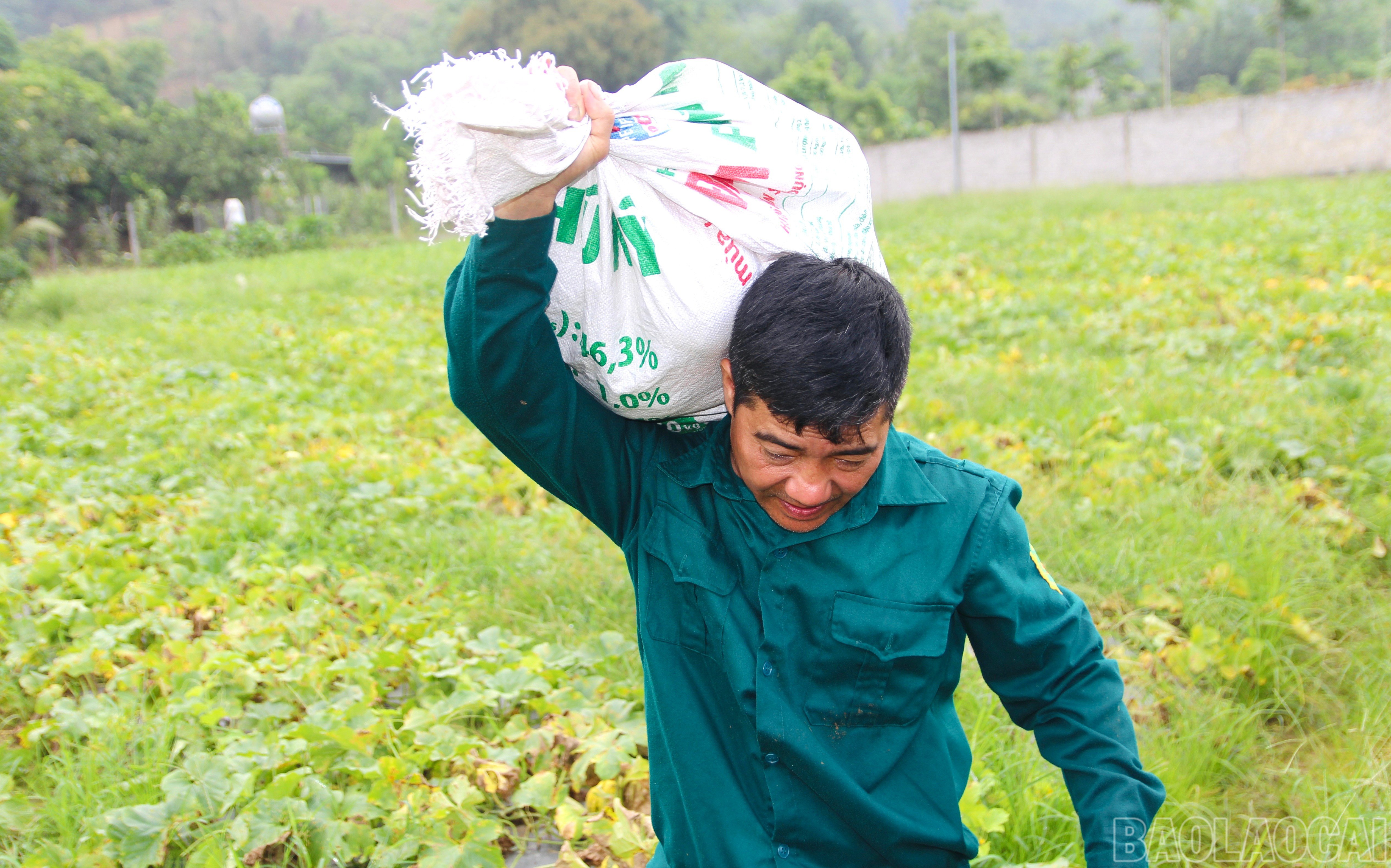 baolaocai-br_img-7628.jpg