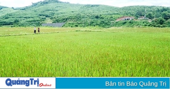 Hiệu quả các chương trình chuyên đề trong xây dựng nông thôn mới tại Đakrông