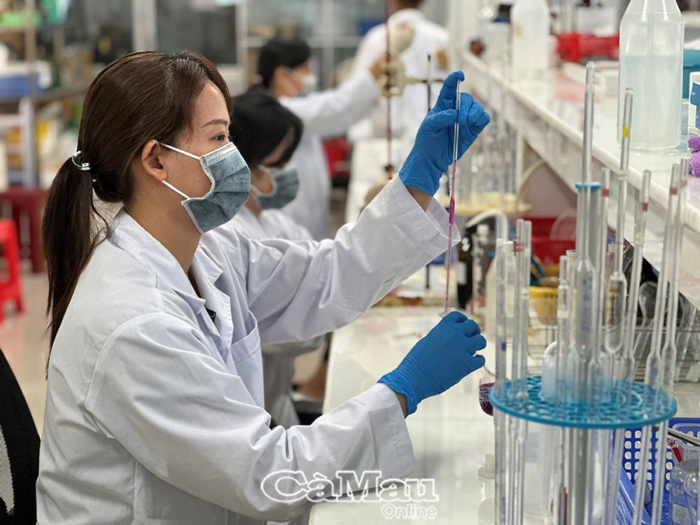 The staff of the Department of Science and Technology of the province constantly researches, innovates, and implements many science and technology projects.