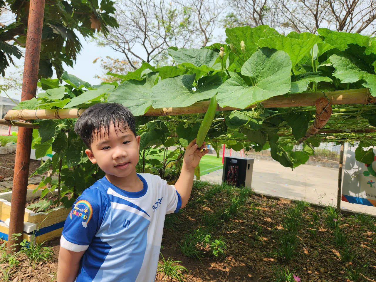 Những trường học đẹp như công viên ở TP.HCM - Ảnh 14.
