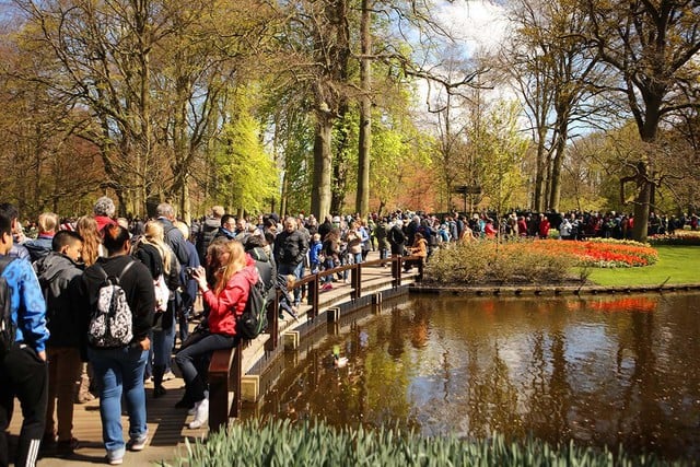 Tulip season in the Netherlands - a romantic stop not to be missed - Photo 3.
