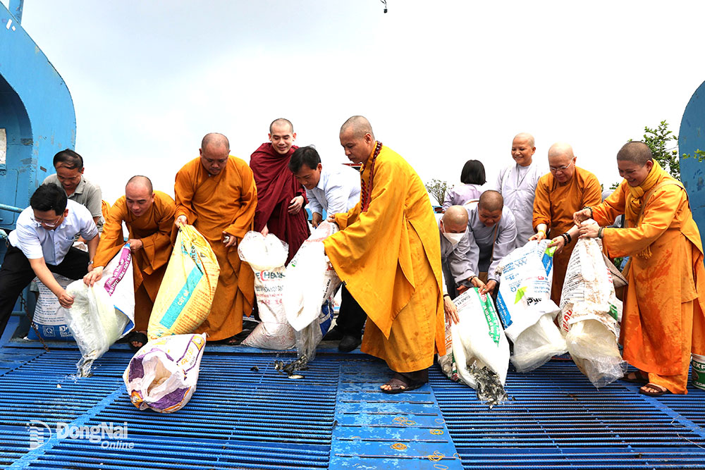 The Executive Committee of the Vietnam Buddhist Sangha of Bien Hoa province and city organized a program to release fish into the Dong Nai River in front of Long Thien pagoda.