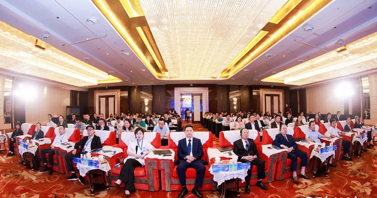 Nghe An province delegation participates in investment promotion activities in China