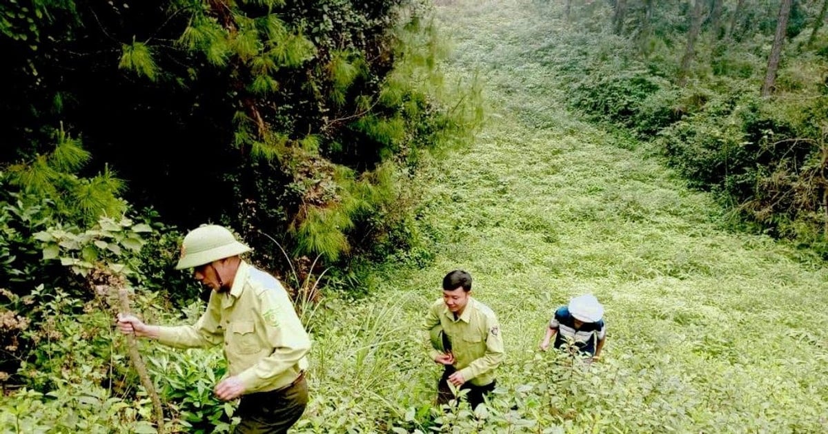 Nam Đàn tăng cường phòng chống cháy rừng tại các điểm di tích lịch sử
