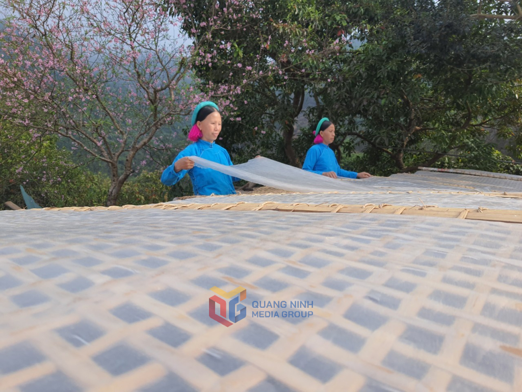 ប្រជាជនឃុំ Huc Dong ស្រុក Binh Lieu កែច្នៃគុយទាវប្រពៃណី។