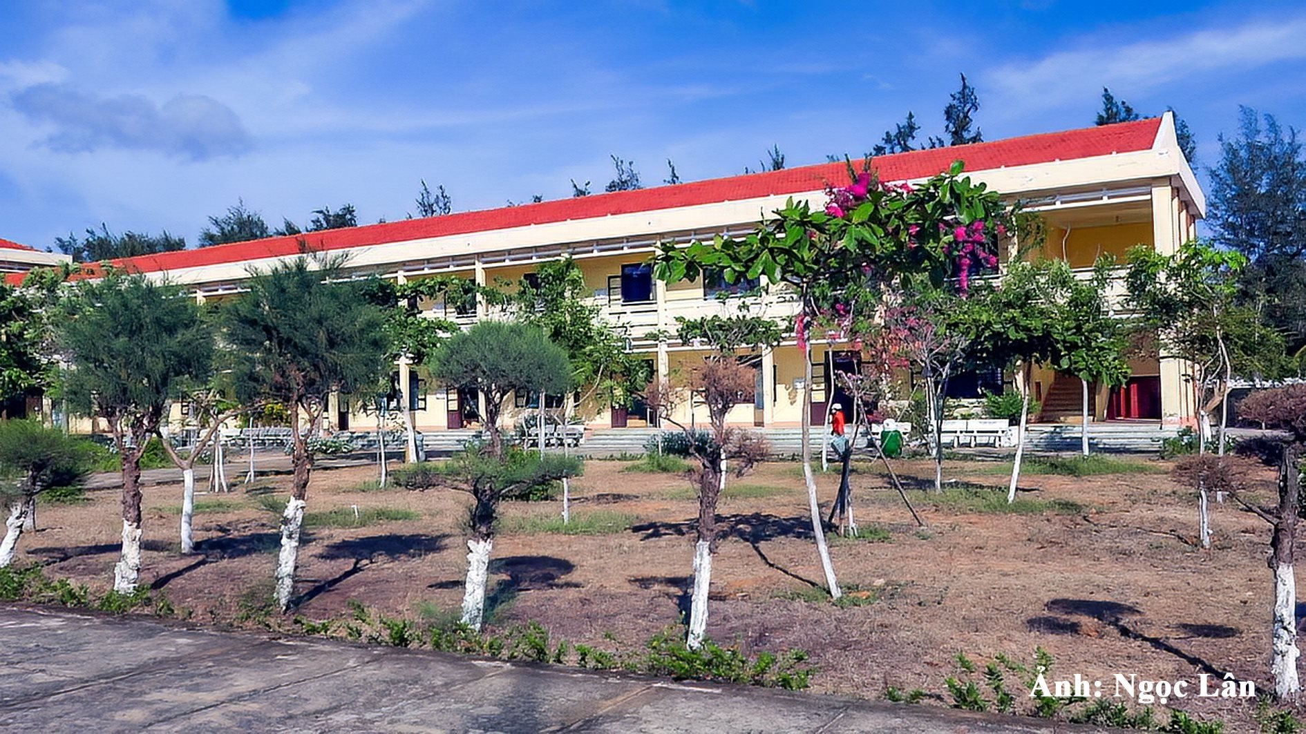 c0191t01.jpg