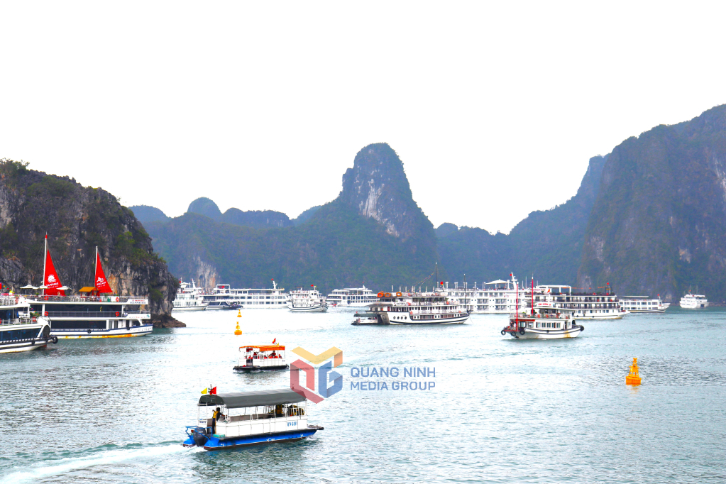 Tourist boats are busy taking visitors to Ha Long Bay.