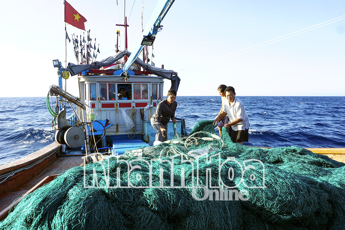 អ្នកនេសាទ Khanh Hoa ចូលរួមក្នុងការកេងប្រវ័ញ្ចអាហារសមុទ្រនៅដែនសមុទ្រ។