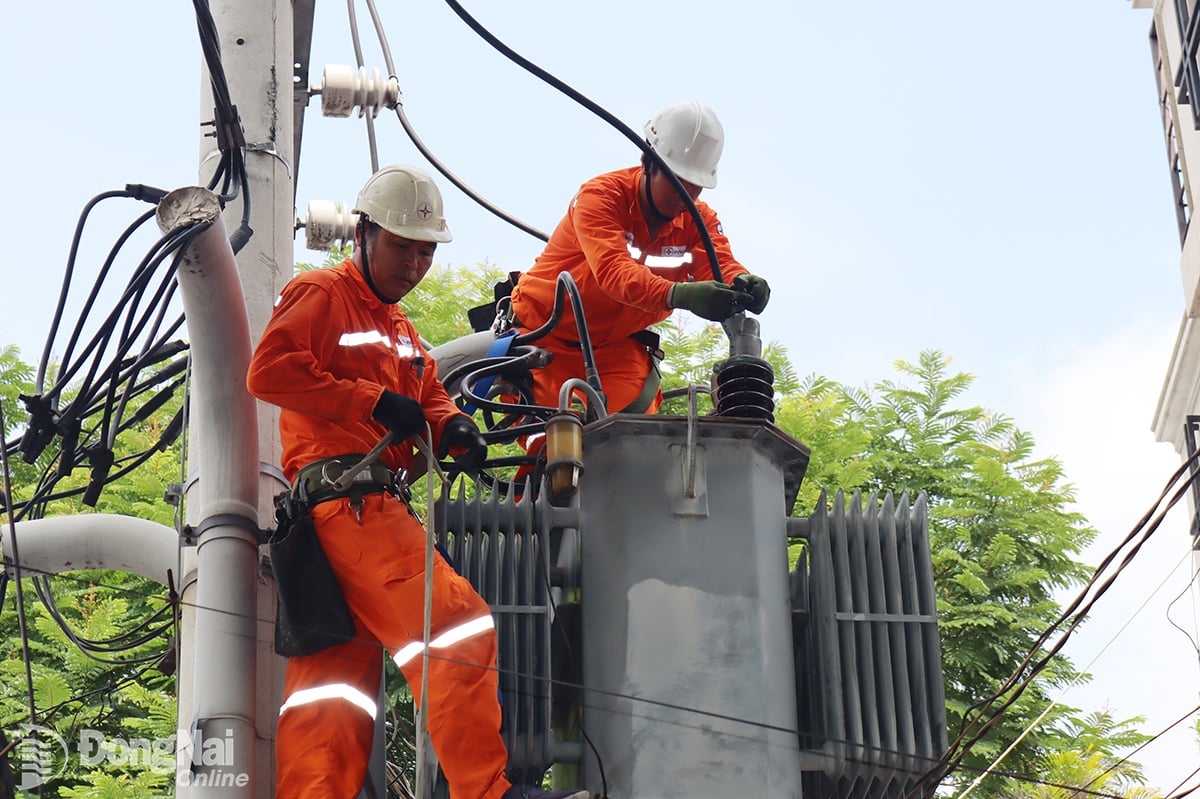 Điện lực Đồng Nai thực hiện cải tạo, nâng cấp đường dây trước cao điểm mùa khô.