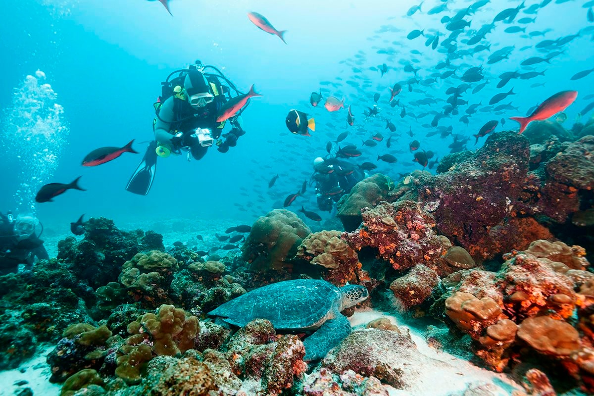 quan-dao-galapagos-mot-trong-nhung-thien-duong-lan-bien-thu-vi-cua-ecuador.jpg