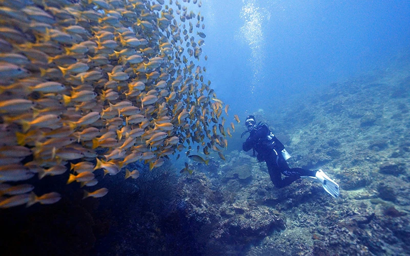 du-khach-viet-lan-bien-tai-dao-koh-phi-phi-thai-lan.webp