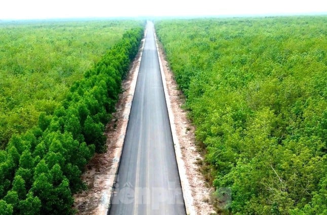 Dự án đường Hồ Chí Minh qua 4 tỉnh phía Nam vừa 'lỡ hẹn' về đích ảnh 2
