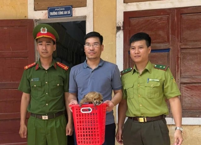 Thả động vật quý hiếm về Vườn Quốc gia Phong Nha - Kẻ Bàng -0