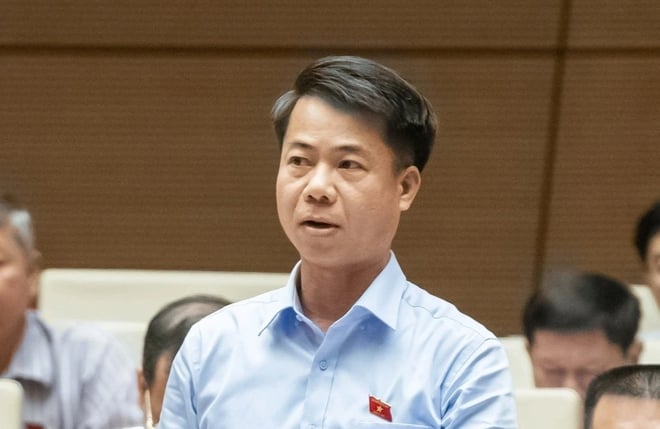  - Ảnh 1.