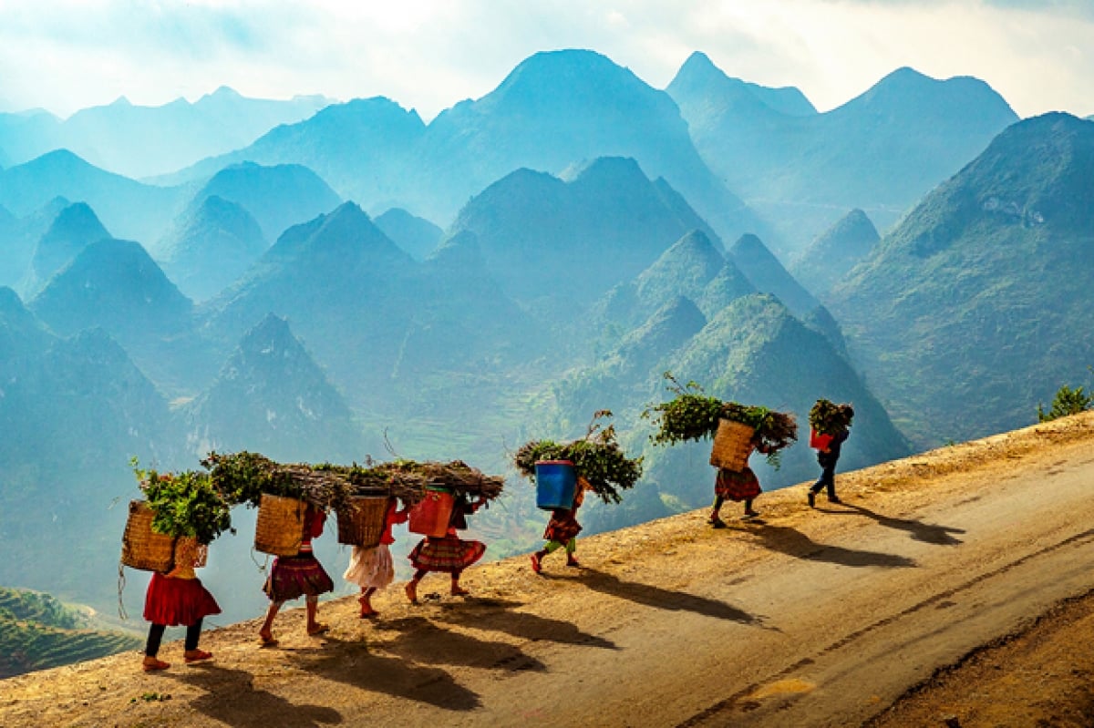images1475425_anh_4._tac_pham_ve_dep_bien_vien_pham_hoai_nam.jpg