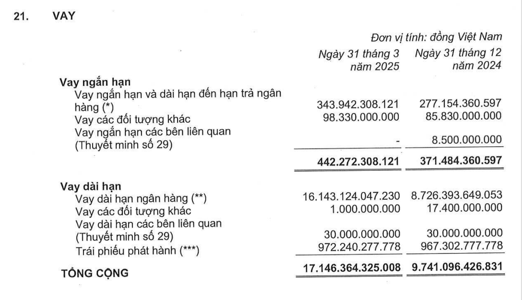 Vì sao công ty của đại gia Đặng Thành Tâm lãi đột biến gấp 20 lần? - 1