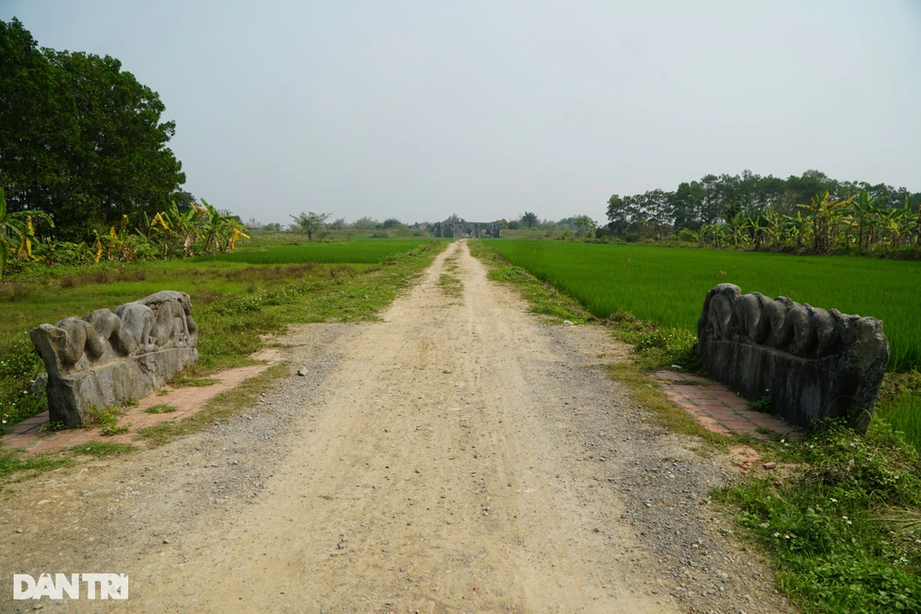 cap-rong-dathanh-nha-ho3-1742899429865.webp