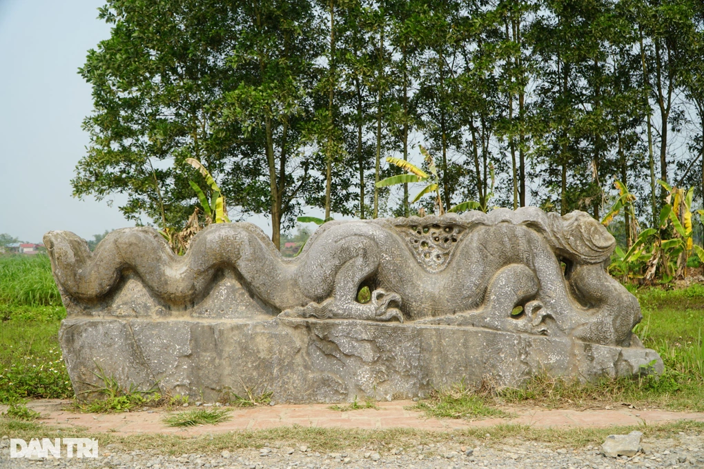 cap-rong-dathanh-nha-ho4-1742899464776.webp