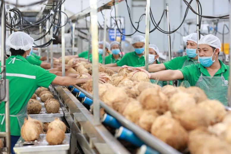 Nông nghiệp xanh: Tìm cơ hội trong thách thức- Ảnh 3.