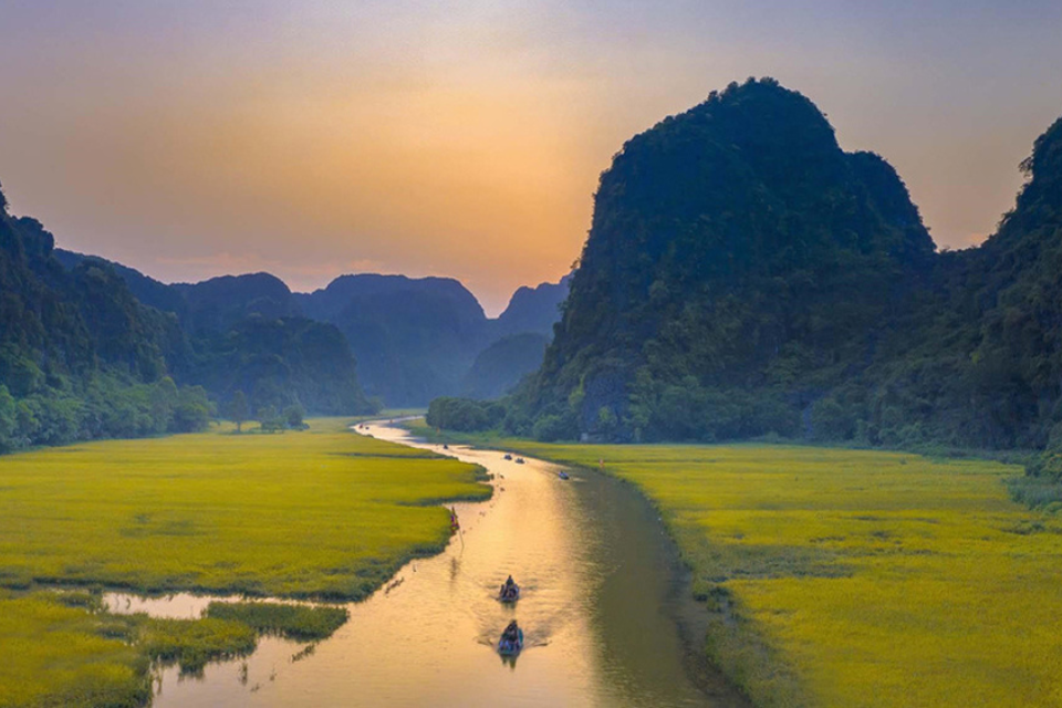 Tam Coc tourism in the ripe rice season - A beautiful natural picture in the heart of Ninh Binh