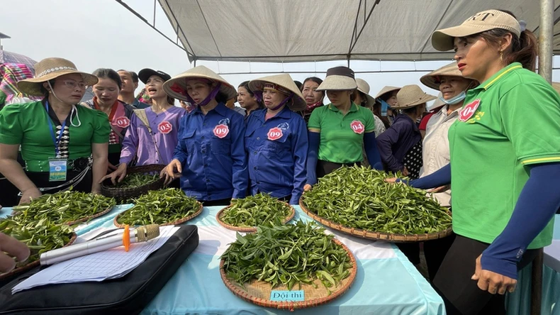 Lai Châu tổ chức sự kiện thúc đẩy liên kết vùng và thương mại điện tử ảnh 2