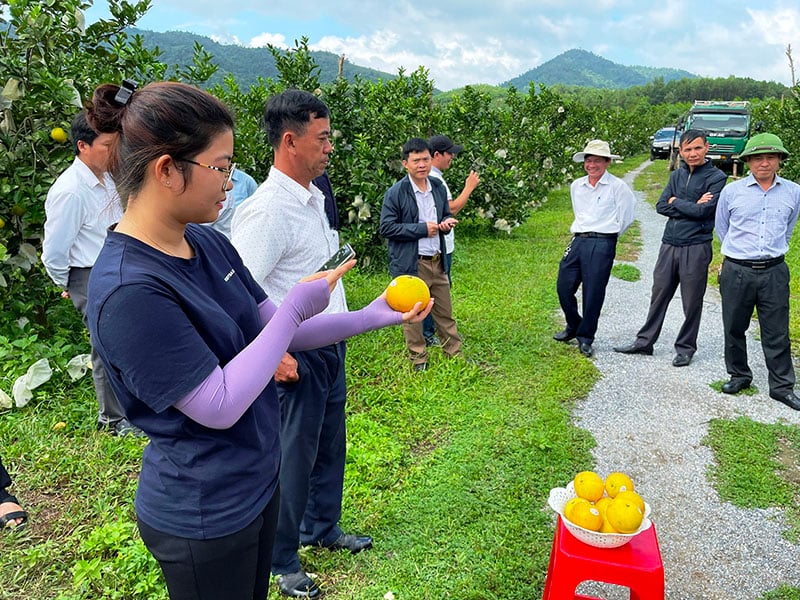 Chuyển đổi số góp phần nâng cao năng suất, chất lượng và giá trị gia tăng của sản phẩm nông nghiệp.