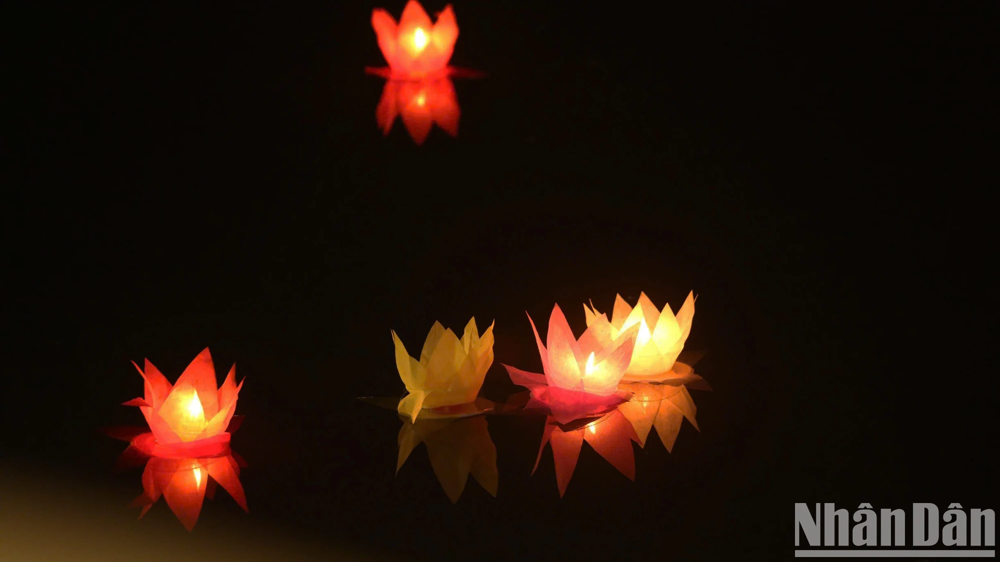 [Ảnh] Hoa đăng sáng lung linh mừng Đại lễ Vesak 2025 ảnh 11