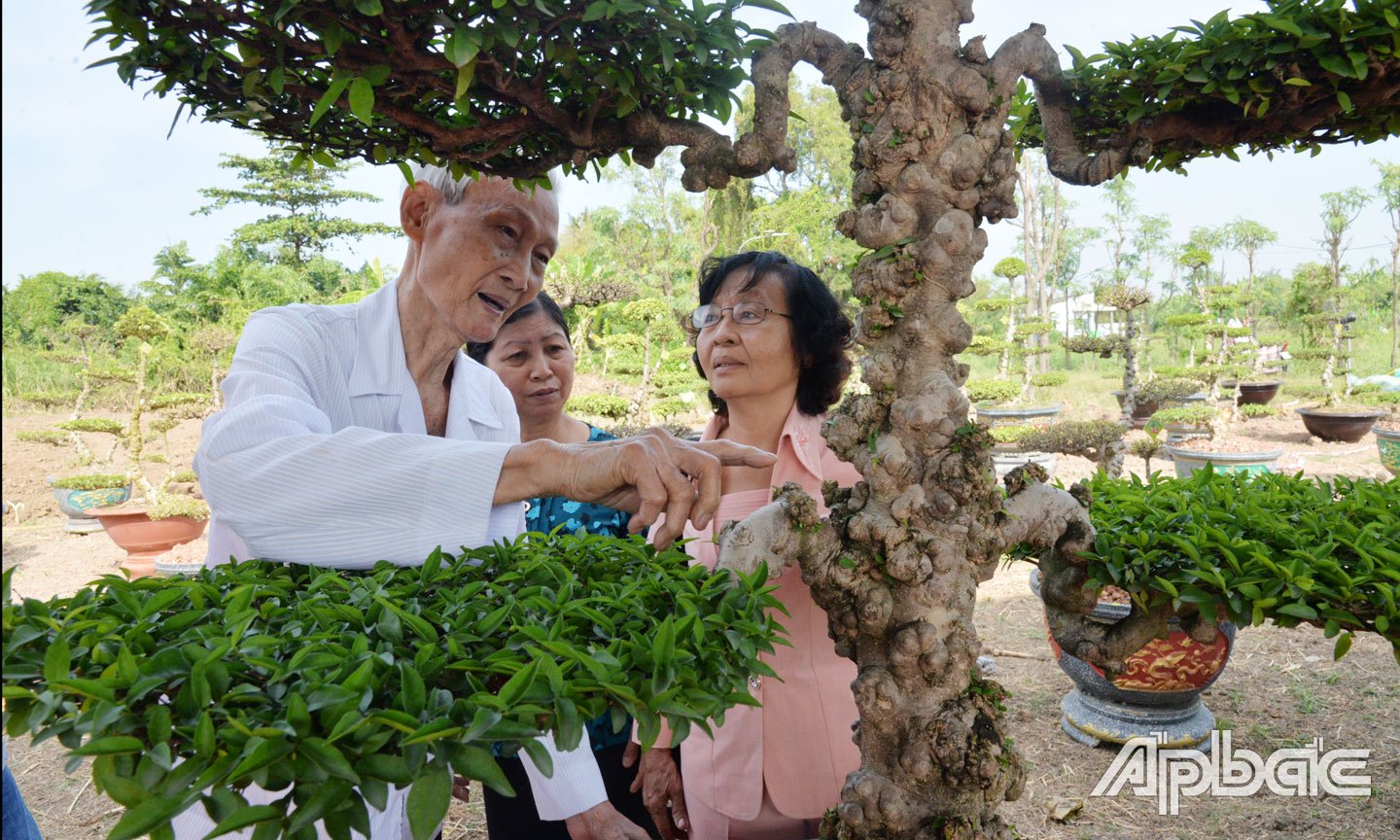 Mai nu chiếu thuỷ mặt khỉ là 1 trong 5 sản phẩm SVC đạt OCOP.