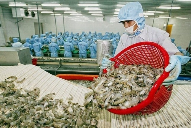 Việt Nam vừa thu 3,3 tỷ USD từ thủy sản