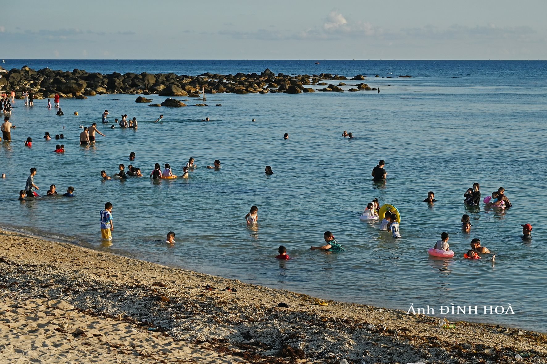 dsc_8831.jpg