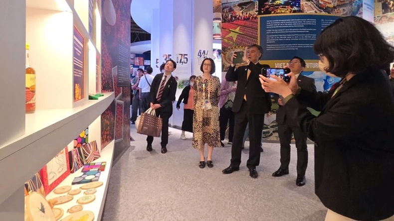 Gần 25.000 lượt khách tham quan Nhà Triển lãm Việt Nam tại EXPO 2025 trong Tuần lễ Vàng Nhật Bản ảnh 6