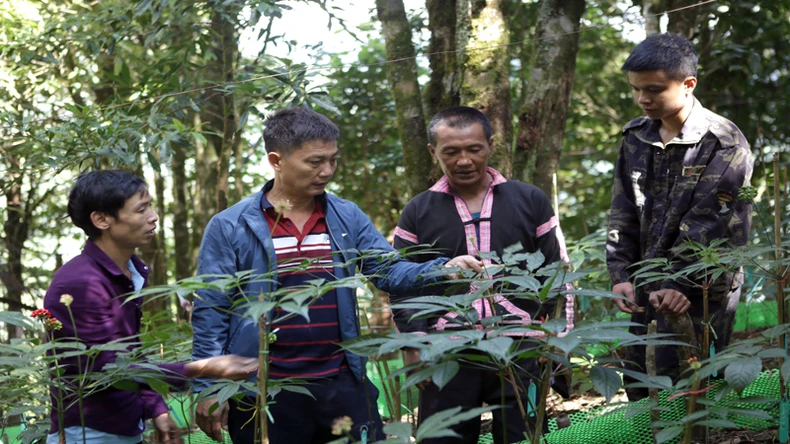 Mường Tè (Lai Châu) phát triển giao thông kết nối vùng ảnh 3