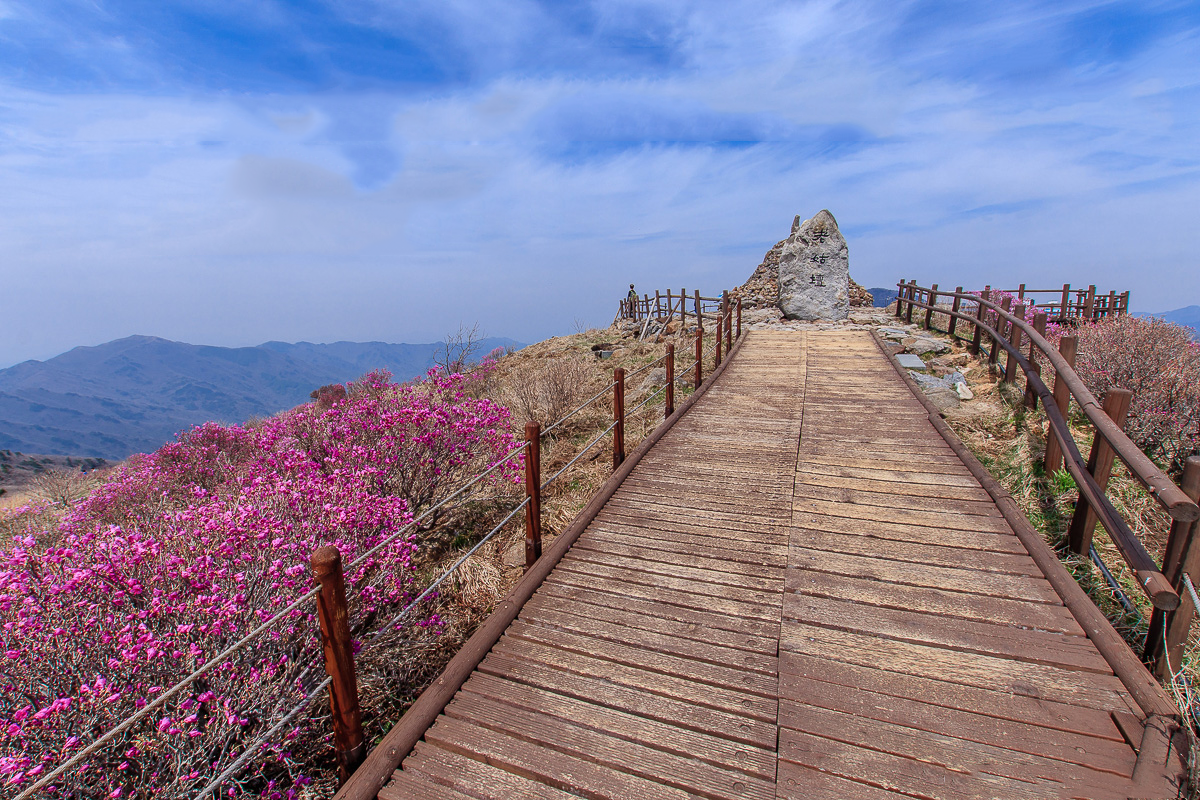du-lich-han-quoc-thang-5-le-hoi-diem-den-am-thuc-5.png