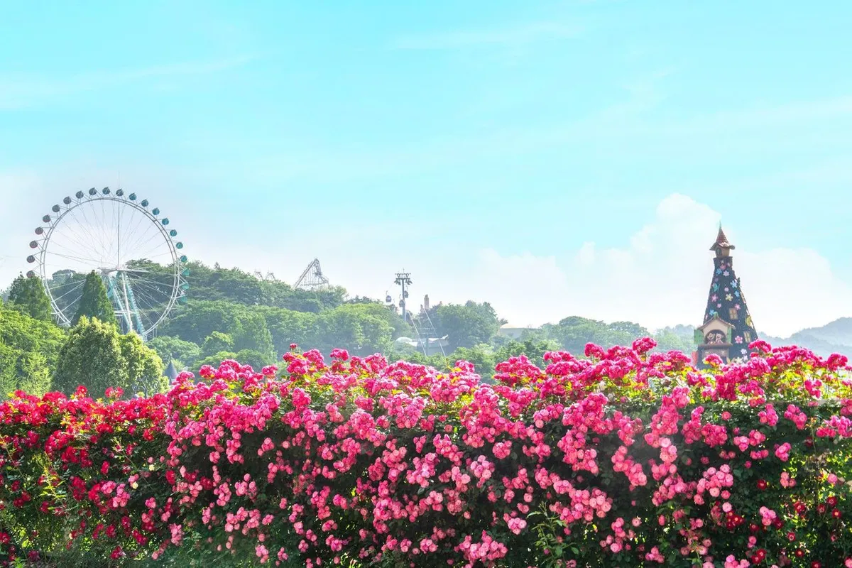 du-lich-han-quoc-thang-5-le-hoi-diem-den-am-thuc-7.png